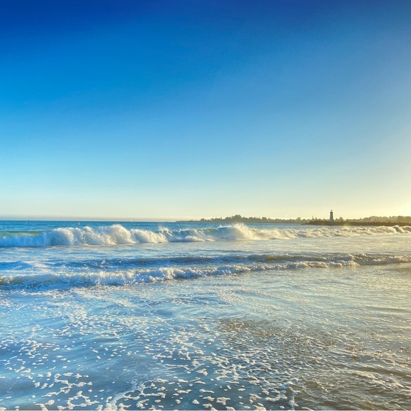 Meet your Posher, Punit - Picture 1 of 1